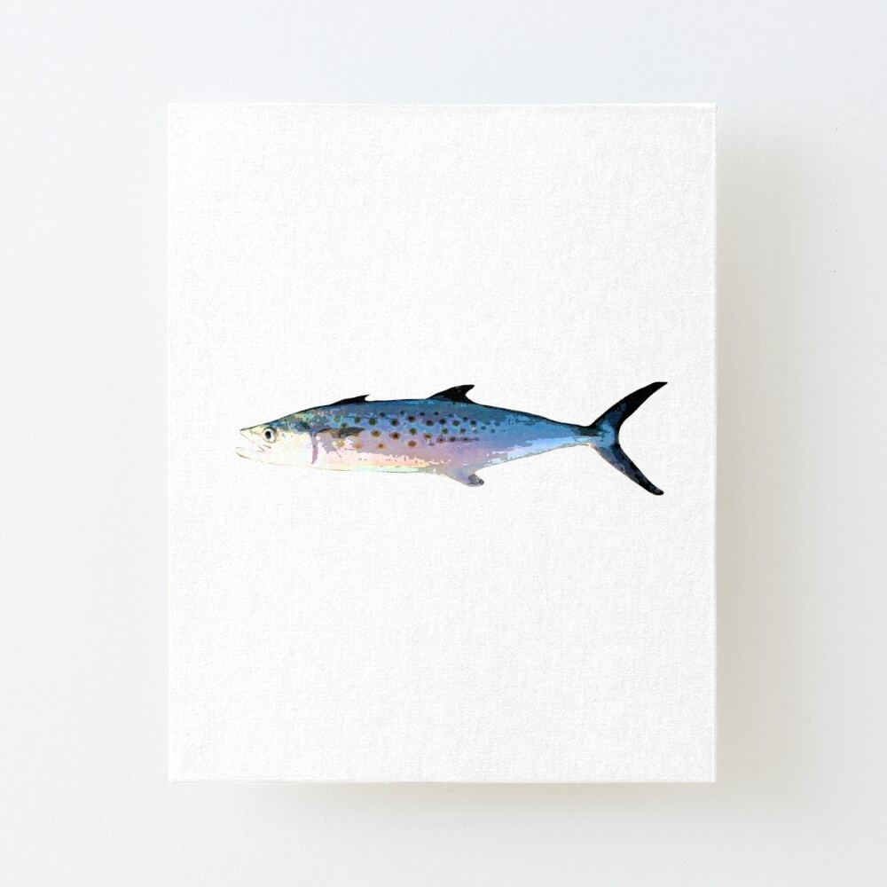 Pacific Chub Mackerel Color Design  Poster for Sale by designsasstultd