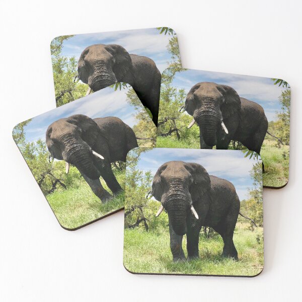 Item preview, African Elephant (6) designed and sold by CncptulCaptures.