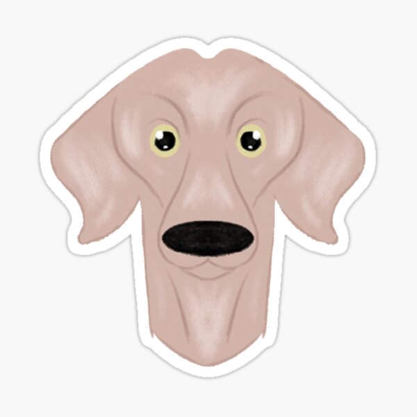Weimaraner Sticker