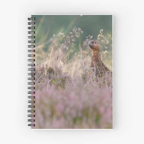 Item preview, Red Grouse designed and sold by LaurenTucker.