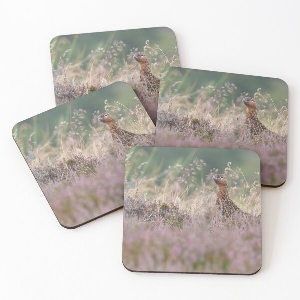 Item preview, Red Grouse designed and sold by LaurenTucker.
