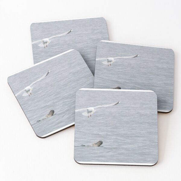 Item preview, Grey Seal designed and sold by LaurenTucker.