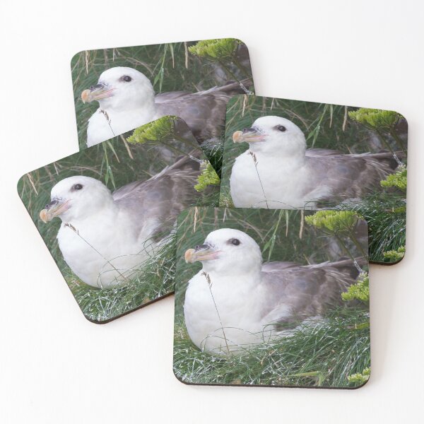Item preview, Fulmar designed and sold by LaurenTucker.