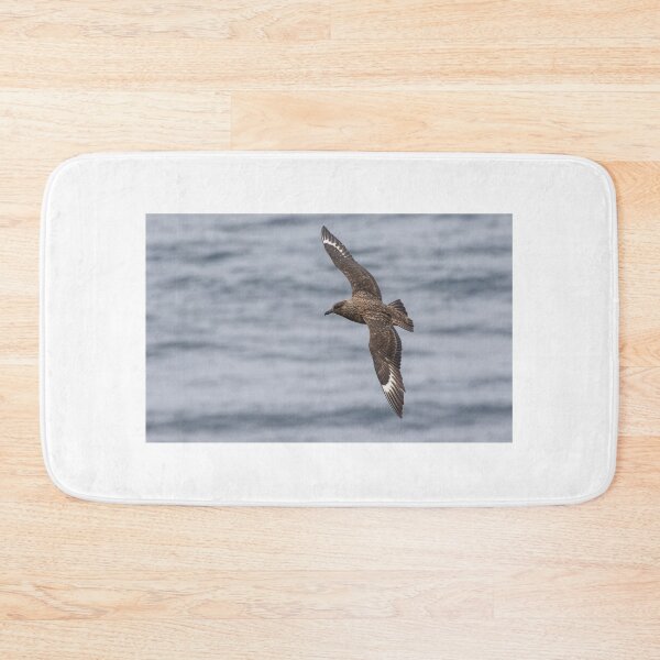 Item preview, Great Skua designed and sold by LaurenTucker.