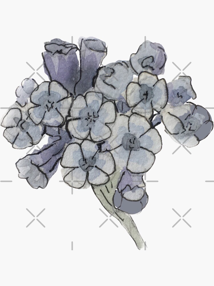 Blue Cowslip Illustration in Watercolor by WitchofWhimsy