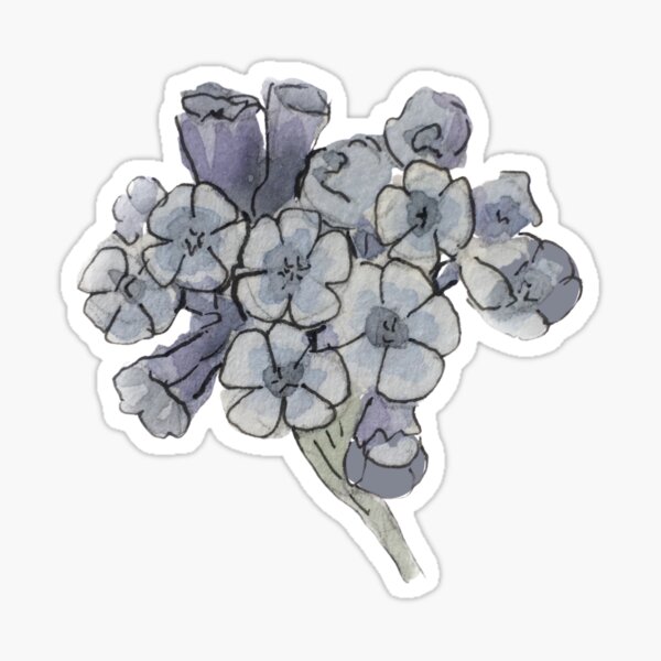 Blue Cowslip Illustration in Watercolor Sticker