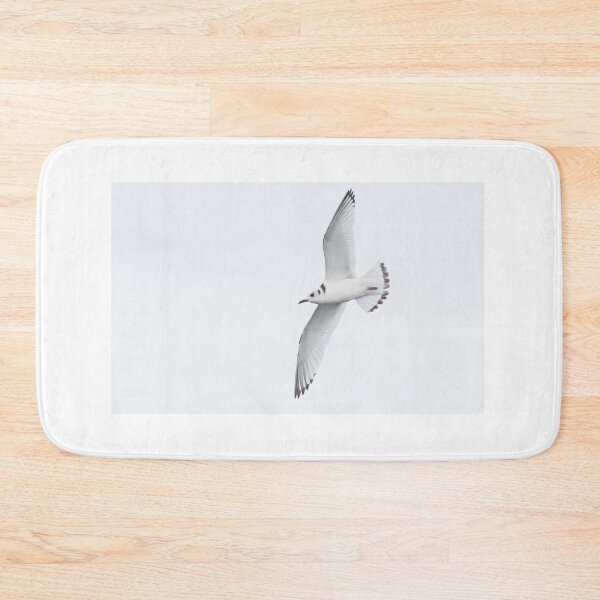 Item preview, Kittiwake designed and sold by LaurenTucker.