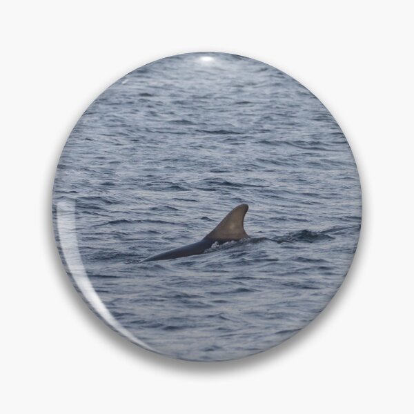Item preview, Bottlenose Dolpins designed and sold by LaurenTucker.