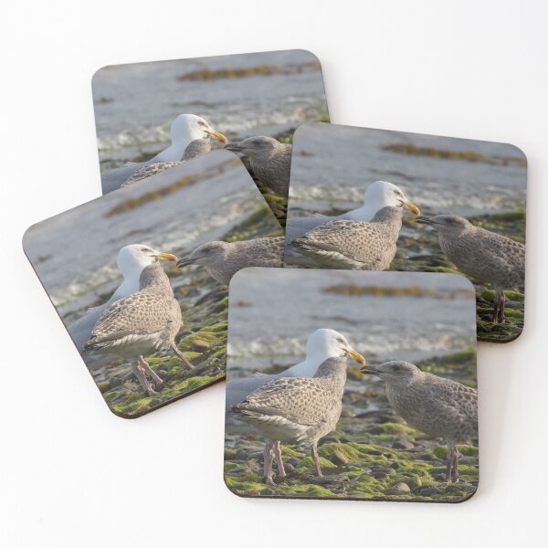 Item preview, Familia de gaviotas argénteas designed and sold by LaurenTucker.