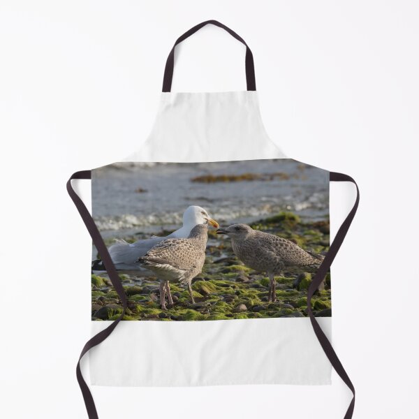 Item preview, Herring Gull Family designed and sold by LaurenTucker.
