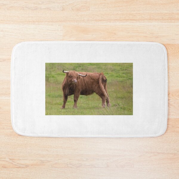 Item preview, Highland Cattle designed and sold by LaurenTucker.