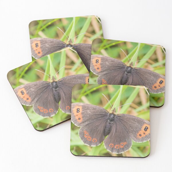 Item preview, Scotch Argus designed and sold by LaurenTucker.