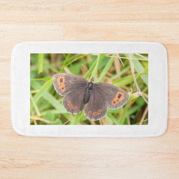 Item preview, Scotch Argus designed and sold by LaurenTucker.