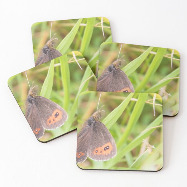 Item preview, Scotch Argus designed and sold by LaurenTucker.
