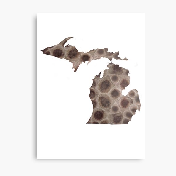 Aperçu de l'œuvre Motif de pierre Petoskey, motif de pierre du Michigan, j'aime les Grands Lacs ! créée et vendue par hollycooper.