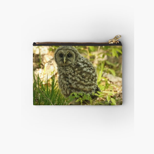 Item preview, Baby barred owl first time on earth designed and sold by locustgirl.