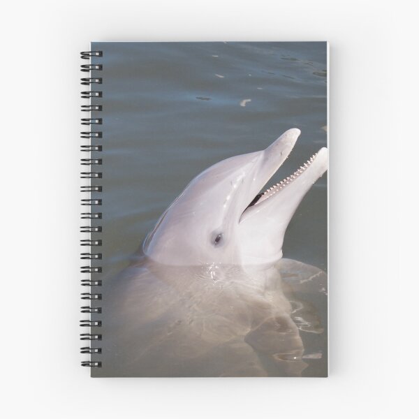 Item preview, Bottlenose Dolphin designed and sold by KHartmann.