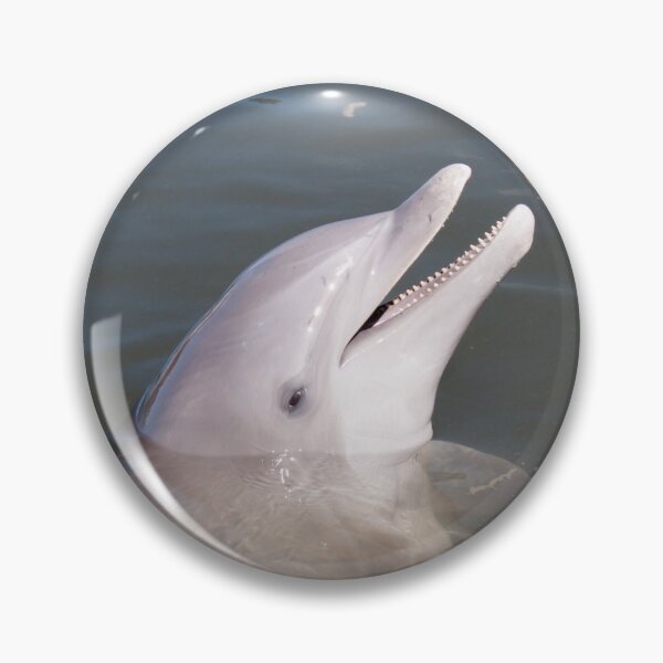 Item preview, Bottlenose Dolphin designed and sold by KHartmann.