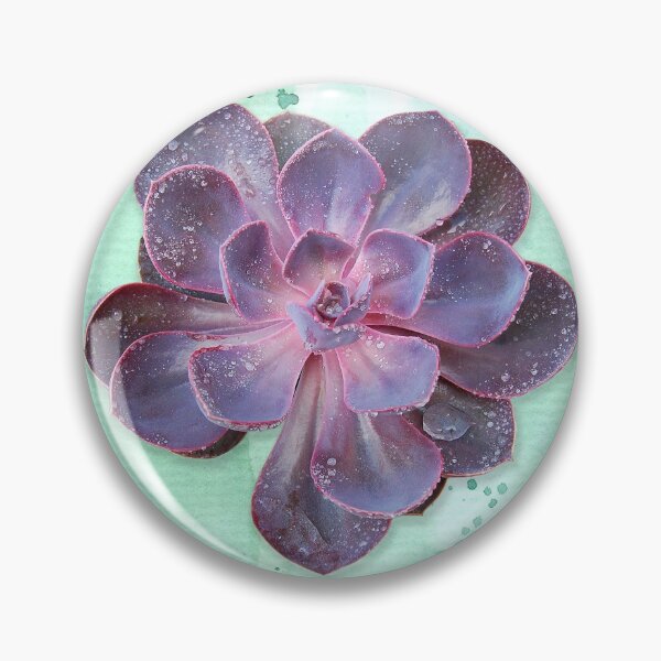 Aperçu de l'œuvre Echeveria pourpre sur fond aquarelle (horizontal) créée et vendue par 416studios.