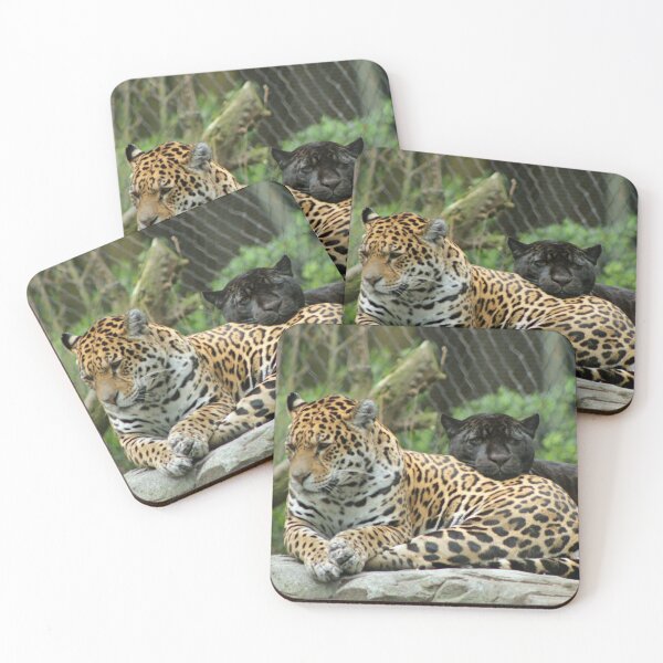 Item preview, Cuddles designed and sold by Hann Regan  Photography.
