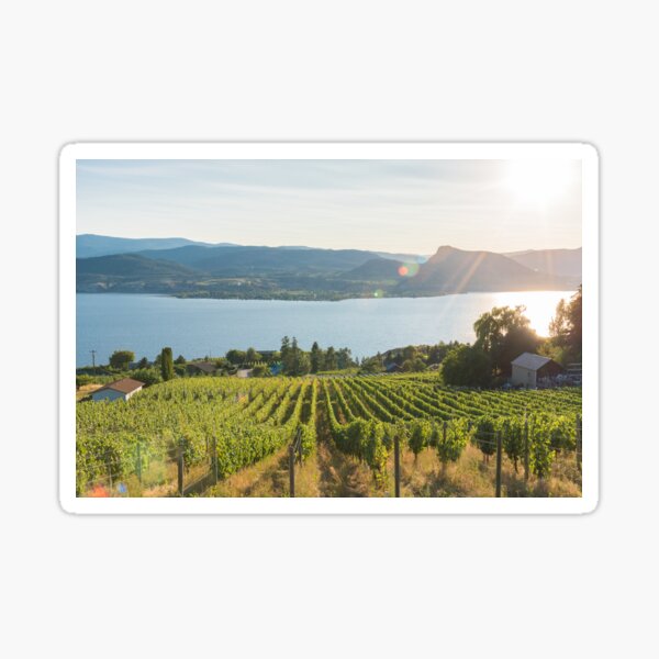 Item preview, Okanagan Valley Vineyard View designed and sold by Amy Mitchell.