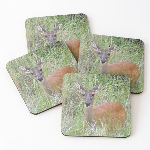 Item preview, Beautiful Deer designed and sold by Cynthia48.