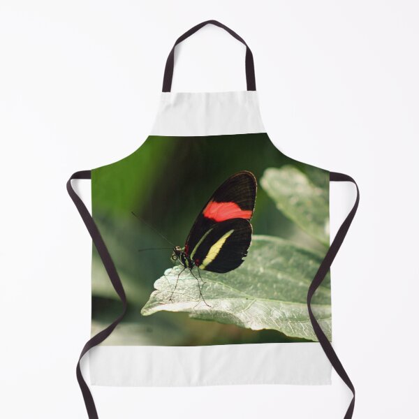 Item preview, Postman designed and sold by Hann Regan Photography.