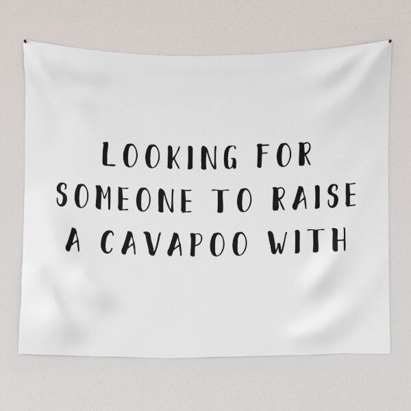 Item preview, looking for someone to raise a cavapoo with designed and sold by thecavapootales.