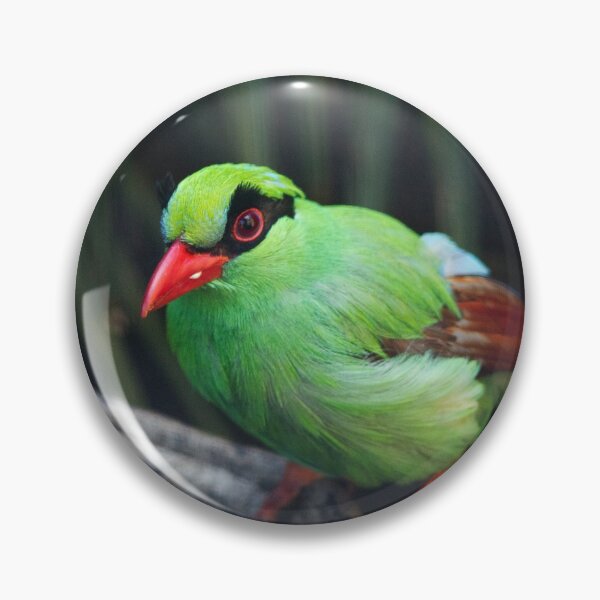 Item preview, Plumas verdes designed and sold by Hann Regan Photography.