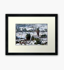 Cradle Mountain National Park Framed Print