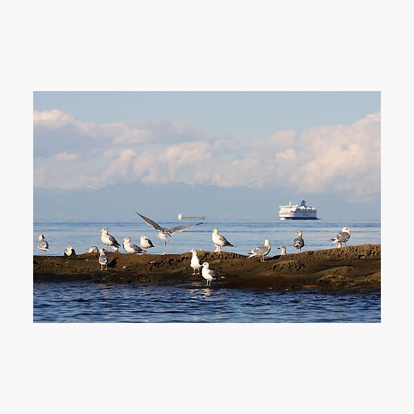 Traveling the Strait of Georgia Photographic Print