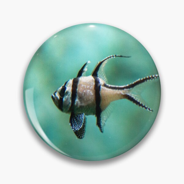 Item preview, In a sea of blue designed and sold by Hann Regan Photography.