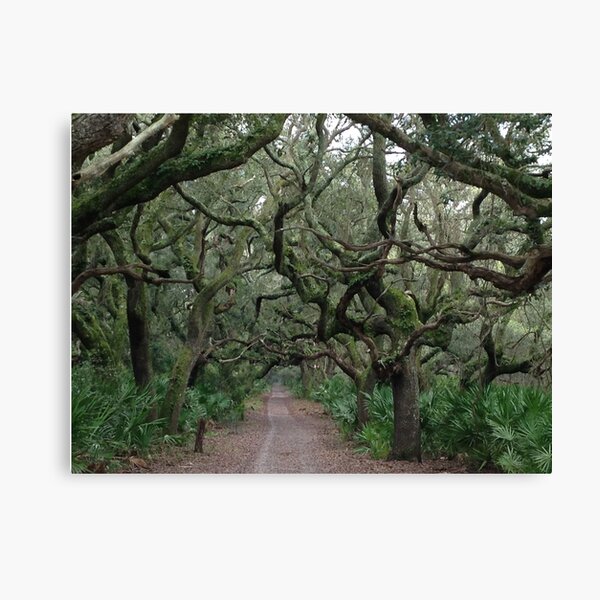 Item preview, Walk in the Woods designed and sold by Sallie Sprague.