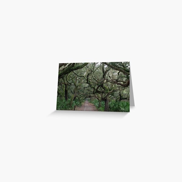 Walk in the Woods Greeting Card