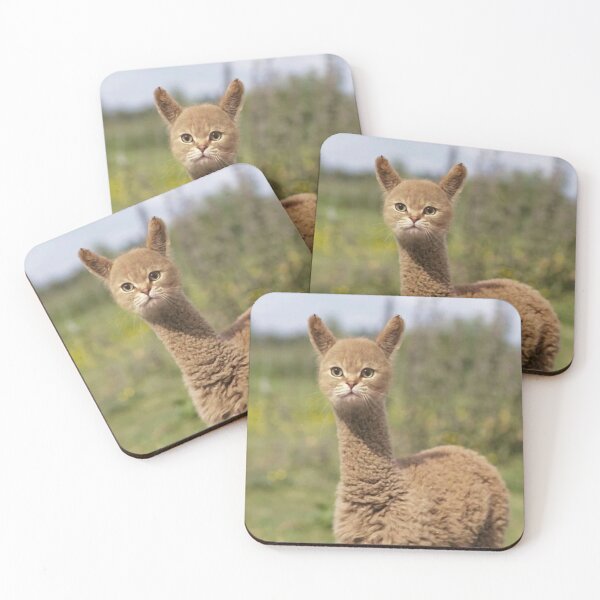 Item preview, LAMA CAT designed and sold by James mendez.