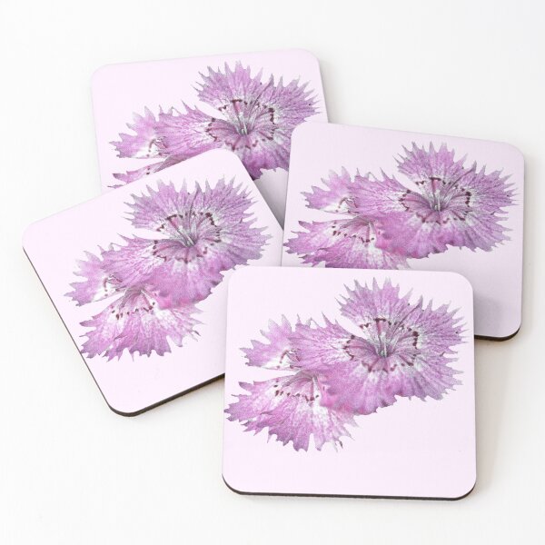 Item preview, Dianthus (T-Shirt), light designed and sold by Lenka.