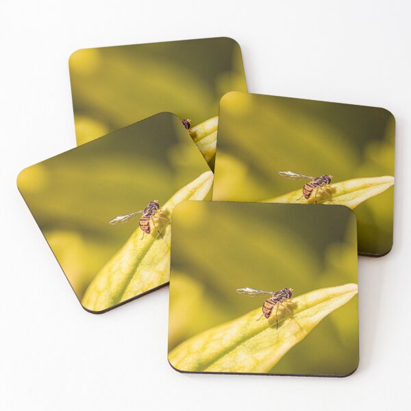 Item preview, Calligrapher fly on leaf designed and sold by jillianbutolphphoto.