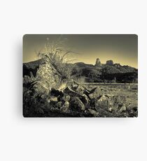 Warrumbungle landscape (duotone) Canvas Print