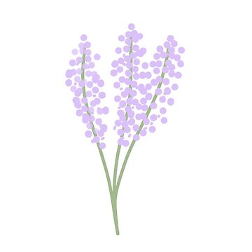 Artwork thumbnail, Simple Lavender by AmandazDesigns