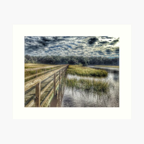 Old House Creek Art Print