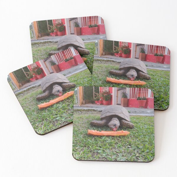 Item preview, turtle eats papaya designed and sold by Mariajose  Rojo.