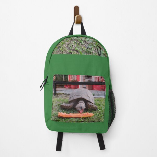 Item preview, turtle eats papaya designed and sold by Mariajose  Rojo.