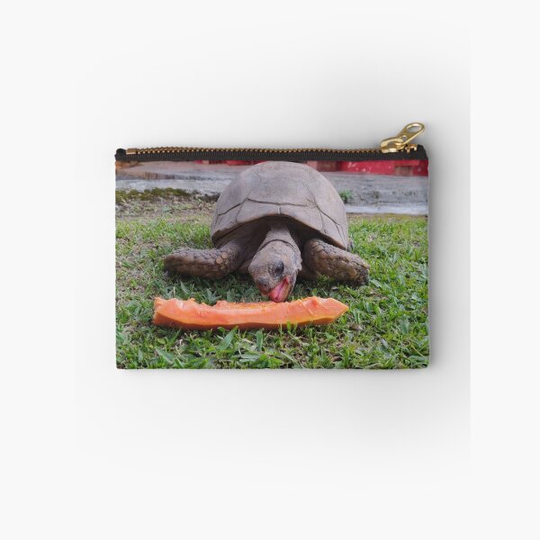Item preview, turtle eats papaya designed and sold by Mariajose  Rojo.