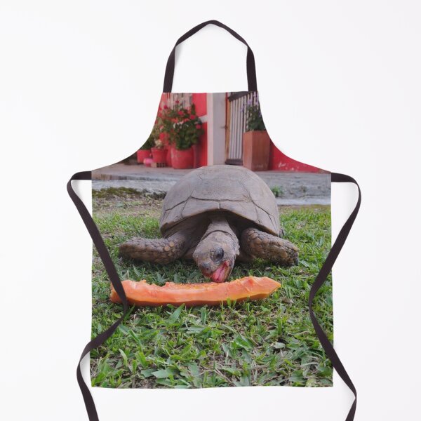 Item preview, turtle eats papaya designed and sold by Mariajose Rojo.
