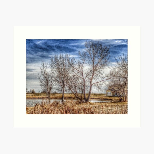 Yellow House and Pond Art Print