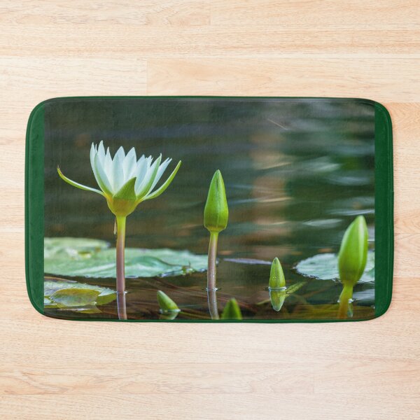 Item preview,  Generations  designed and sold by jvnimages.