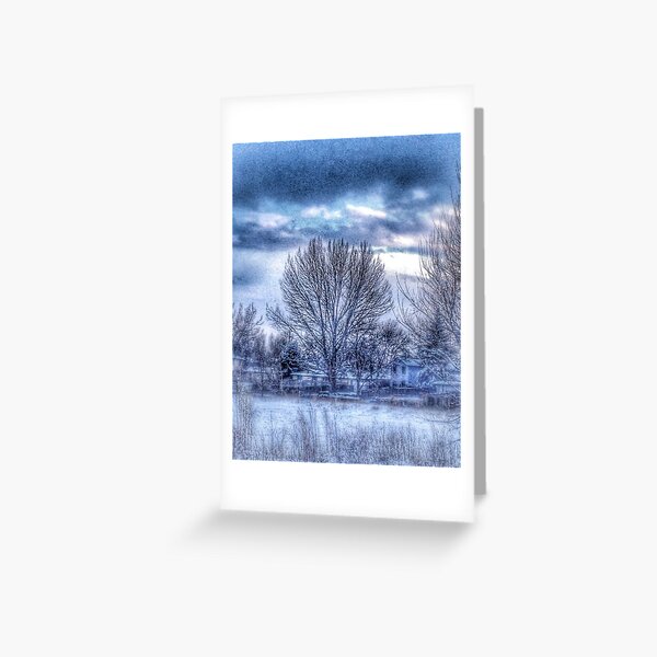 After the Snow Greeting Card