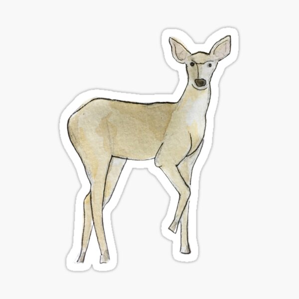 Doe a Dear Friend Illustration in Watercolor Sticker