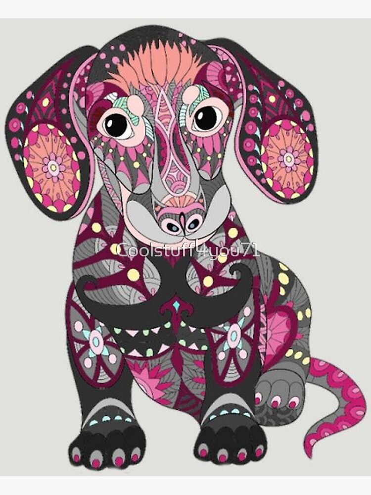 pop pets dachshund