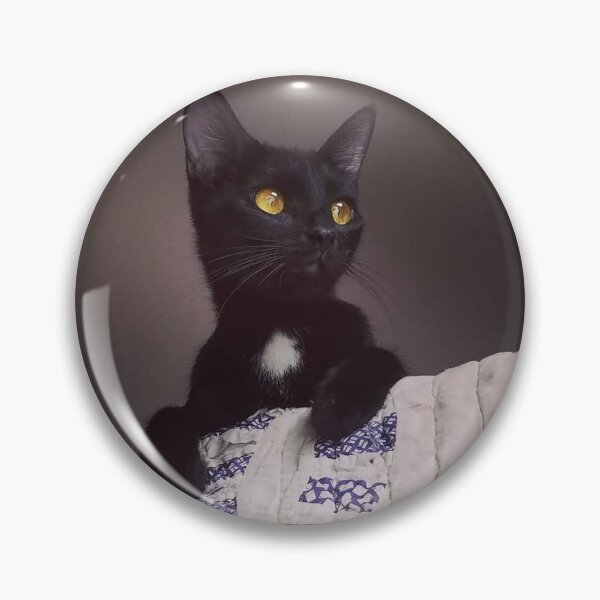 Item preview, Love black cats designed and sold by Shellphotos.